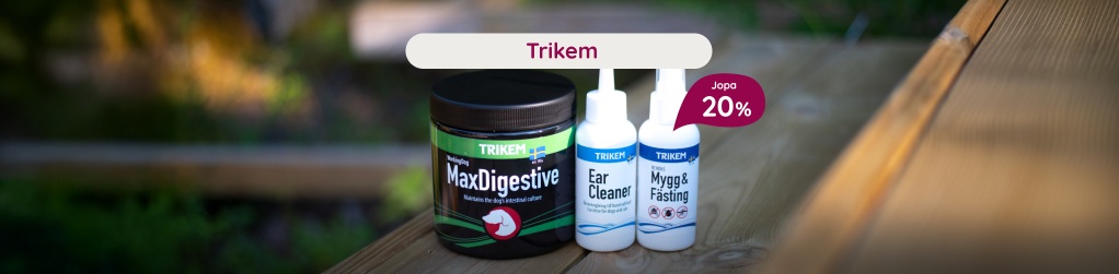 Aivojen suosikit muistiin ja keskittymiseen 20 %